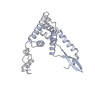 4368_6gaw_AG_v1-2
Unique features of mammalian mitochondrial translation initiation revealed by cryo-EM. This file contains the complete 55S ribosome.