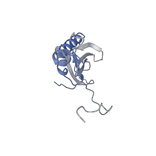 4368_6gaw_AK_v1-2
Unique features of mammalian mitochondrial translation initiation revealed by cryo-EM. This file contains the complete 55S ribosome.