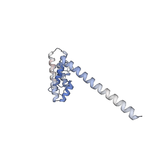 4368_6gaw_AO_v1-2
Unique features of mammalian mitochondrial translation initiation revealed by cryo-EM. This file contains the complete 55S ribosome.