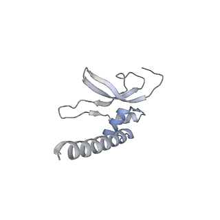 4368_6gaw_AP_v1-2
Unique features of mammalian mitochondrial translation initiation revealed by cryo-EM. This file contains the complete 55S ribosome.