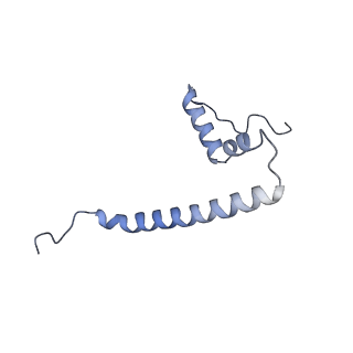 4368_6gaw_AU_v1-2
Unique features of mammalian mitochondrial translation initiation revealed by cryo-EM. This file contains the complete 55S ribosome.