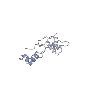 4368_6gaw_Ab_v1-2
Unique features of mammalian mitochondrial translation initiation revealed by cryo-EM. This file contains the complete 55S ribosome.