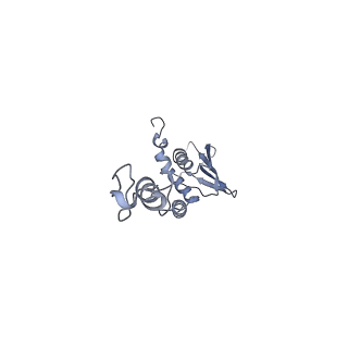 4368_6gaw_Ac_v1-2
Unique features of mammalian mitochondrial translation initiation revealed by cryo-EM. This file contains the complete 55S ribosome.