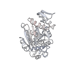 4368_6gaw_Ag_v1-2
Unique features of mammalian mitochondrial translation initiation revealed by cryo-EM. This file contains the complete 55S ribosome.