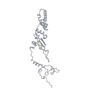 4368_6gaw_Ak_v1-2
Unique features of mammalian mitochondrial translation initiation revealed by cryo-EM. This file contains the complete 55S ribosome.