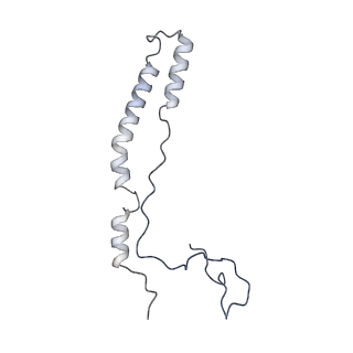 4368_6gaw_Am_v1-2
Unique features of mammalian mitochondrial translation initiation revealed by cryo-EM. This file contains the complete 55S ribosome.