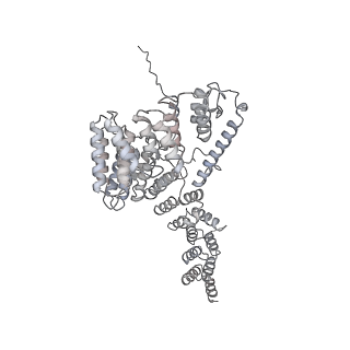4368_6gaw_Ao_v1-2
Unique features of mammalian mitochondrial translation initiation revealed by cryo-EM. This file contains the complete 55S ribosome.