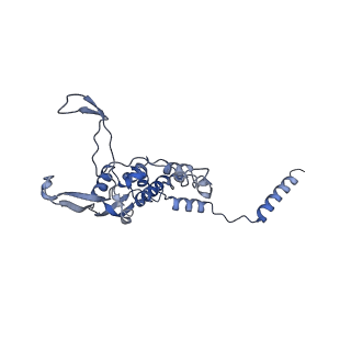 4368_6gaw_B1_v1-2
Unique features of mammalian mitochondrial translation initiation revealed by cryo-EM. This file contains the complete 55S ribosome.