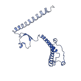 4368_6gaw_B2_v1-2
Unique features of mammalian mitochondrial translation initiation revealed by cryo-EM. This file contains the complete 55S ribosome.
