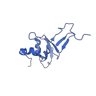 4368_6gaw_B3_v1-2
Unique features of mammalian mitochondrial translation initiation revealed by cryo-EM. This file contains the complete 55S ribosome.