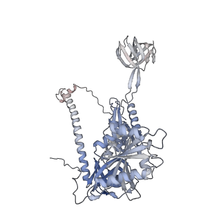 4368_6gaw_BC_v1-2
Unique features of mammalian mitochondrial translation initiation revealed by cryo-EM. This file contains the complete 55S ribosome.