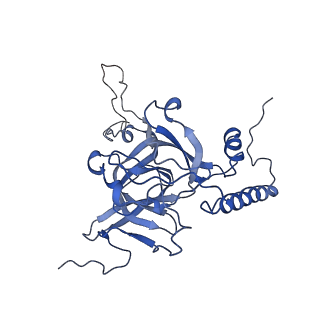 4368_6gaw_BE_v1-2
Unique features of mammalian mitochondrial translation initiation revealed by cryo-EM. This file contains the complete 55S ribosome.
