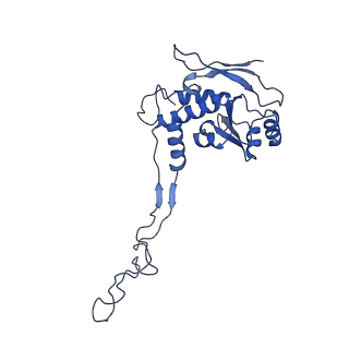 4368_6gaw_BF_v1-2
Unique features of mammalian mitochondrial translation initiation revealed by cryo-EM. This file contains the complete 55S ribosome.