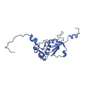 4368_6gaw_BN_v1-2
Unique features of mammalian mitochondrial translation initiation revealed by cryo-EM. This file contains the complete 55S ribosome.