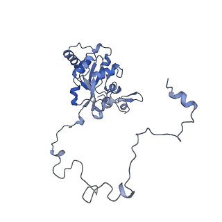 4368_6gaw_BP_v1-2
Unique features of mammalian mitochondrial translation initiation revealed by cryo-EM. This file contains the complete 55S ribosome.