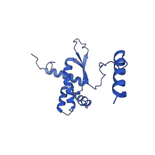 4368_6gaw_BR_v1-2
Unique features of mammalian mitochondrial translation initiation revealed by cryo-EM. This file contains the complete 55S ribosome.