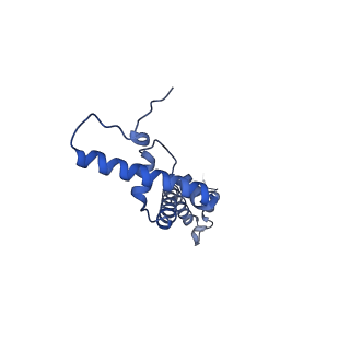 4368_6gaw_BU_v1-2
Unique features of mammalian mitochondrial translation initiation revealed by cryo-EM. This file contains the complete 55S ribosome.