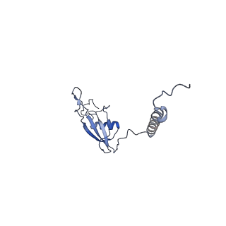 4368_6gaw_BX_v1-2
Unique features of mammalian mitochondrial translation initiation revealed by cryo-EM. This file contains the complete 55S ribosome.