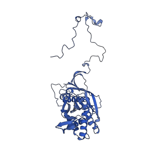 4368_6gaw_Ba_v1-2
Unique features of mammalian mitochondrial translation initiation revealed by cryo-EM. This file contains the complete 55S ribosome.
