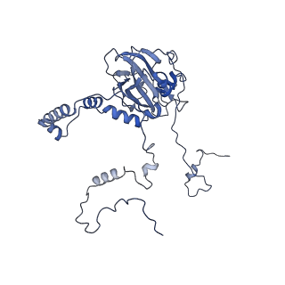 4368_6gaw_Bb_v1-2
Unique features of mammalian mitochondrial translation initiation revealed by cryo-EM. This file contains the complete 55S ribosome.