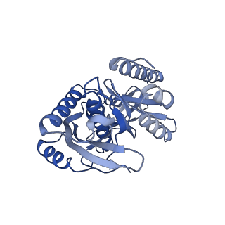 4368_6gaw_Bc_v1-2
Unique features of mammalian mitochondrial translation initiation revealed by cryo-EM. This file contains the complete 55S ribosome.
