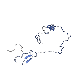 4368_6gaw_Be_v1-2
Unique features of mammalian mitochondrial translation initiation revealed by cryo-EM. This file contains the complete 55S ribosome.