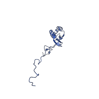 4368_6gaw_Bg_v1-2
Unique features of mammalian mitochondrial translation initiation revealed by cryo-EM. This file contains the complete 55S ribosome.