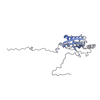 4368_6gaw_Bi_v1-2
Unique features of mammalian mitochondrial translation initiation revealed by cryo-EM. This file contains the complete 55S ribosome.