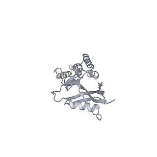 4368_6gaw_Bj_v1-2
Unique features of mammalian mitochondrial translation initiation revealed by cryo-EM. This file contains the complete 55S ribosome.
