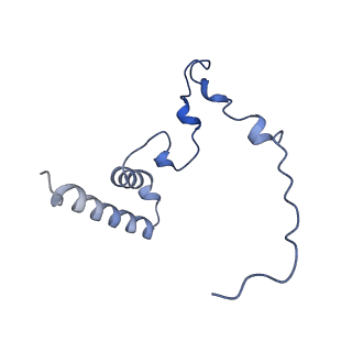 4368_6gaw_Bn_v1-2
Unique features of mammalian mitochondrial translation initiation revealed by cryo-EM. This file contains the complete 55S ribosome.