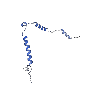 4368_6gaw_Bt_v1-2
Unique features of mammalian mitochondrial translation initiation revealed by cryo-EM. This file contains the complete 55S ribosome.