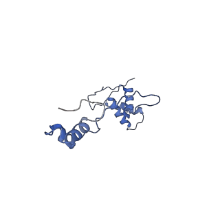 4369_6gaz_Ab_v1-2
Unique features of mammalian mitochondrial translation initiation revealed by cryo-EM. This file contains the 28S ribosomal subunit.