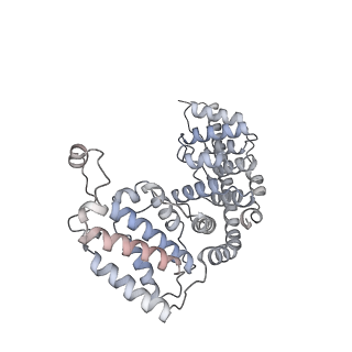 4369_6gaz_Ae_v1-2
Unique features of mammalian mitochondrial translation initiation revealed by cryo-EM. This file contains the 28S ribosomal subunit.