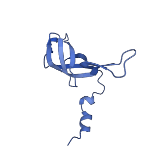 4369_6gaz_Af_v1-2
Unique features of mammalian mitochondrial translation initiation revealed by cryo-EM. This file contains the 28S ribosomal subunit.