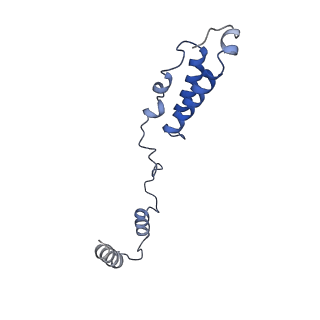 4369_6gaz_Ah_v1-2
Unique features of mammalian mitochondrial translation initiation revealed by cryo-EM. This file contains the 28S ribosomal subunit.