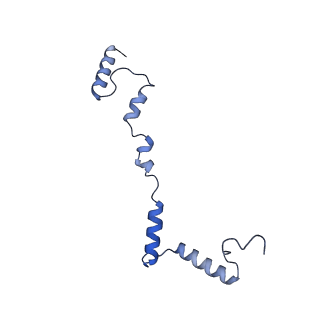 4369_6gaz_Ai_v1-2
Unique features of mammalian mitochondrial translation initiation revealed by cryo-EM. This file contains the 28S ribosomal subunit.