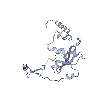 4369_6gaz_Aj_v1-2
Unique features of mammalian mitochondrial translation initiation revealed by cryo-EM. This file contains the 28S ribosomal subunit.