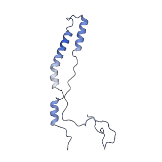 4369_6gaz_Am_v1-2
Unique features of mammalian mitochondrial translation initiation revealed by cryo-EM. This file contains the 28S ribosomal subunit.