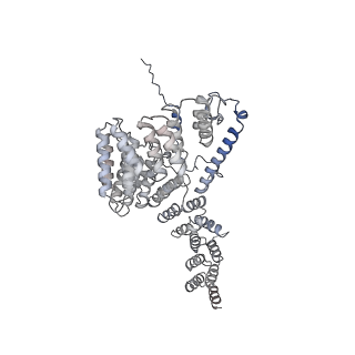 4369_6gaz_Ao_v1-2
Unique features of mammalian mitochondrial translation initiation revealed by cryo-EM. This file contains the 28S ribosomal subunit.