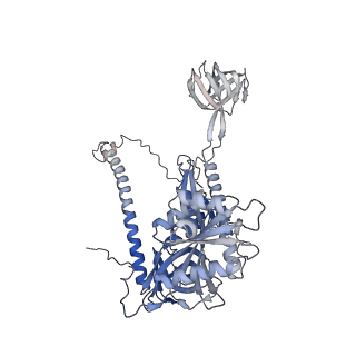 4369_6gaz_BC_v1-2
Unique features of mammalian mitochondrial translation initiation revealed by cryo-EM. This file contains the 28S ribosomal subunit.