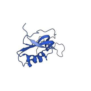 8001_5gae_N_v1-2
RNC in complex with a translocating SecYEG