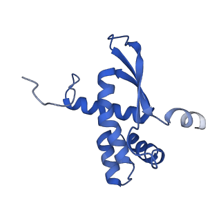 8001_5gae_O_v1-2
RNC in complex with a translocating SecYEG