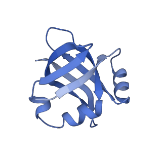 8001_5gae_W_v1-2
RNC in complex with a translocating SecYEG