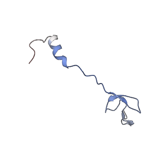 8001_5gae_b_v1-2
RNC in complex with a translocating SecYEG