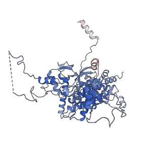8011_5gam_A_v1-2
Foot region of the yeast spliceosomal U4/U6.U5 tri-snRNP