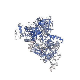 8011_5gam_C_v1-2
Foot region of the yeast spliceosomal U4/U6.U5 tri-snRNP