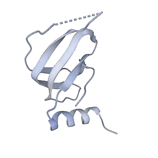 8011_5gam_e_v1-2
Foot region of the yeast spliceosomal U4/U6.U5 tri-snRNP