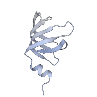 8011_5gam_f_v1-2
Foot region of the yeast spliceosomal U4/U6.U5 tri-snRNP