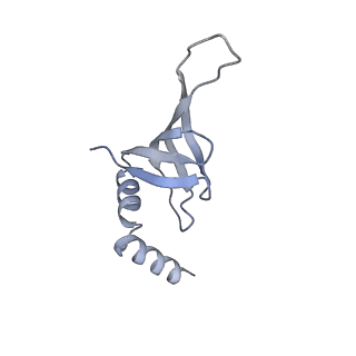 8011_5gam_j_v1-2
Foot region of the yeast spliceosomal U4/U6.U5 tri-snRNP