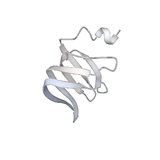 8012_5gan_3_v1-4
The overall structure of the yeast spliceosomal U4/U6.U5 tri-snRNP at 3.7 Angstrom